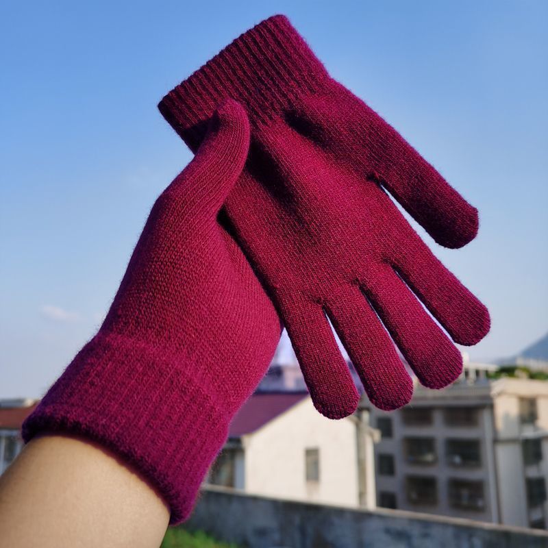 Męskie i damskie wełniane ręka – Wool Glove Lined recenzja i cena